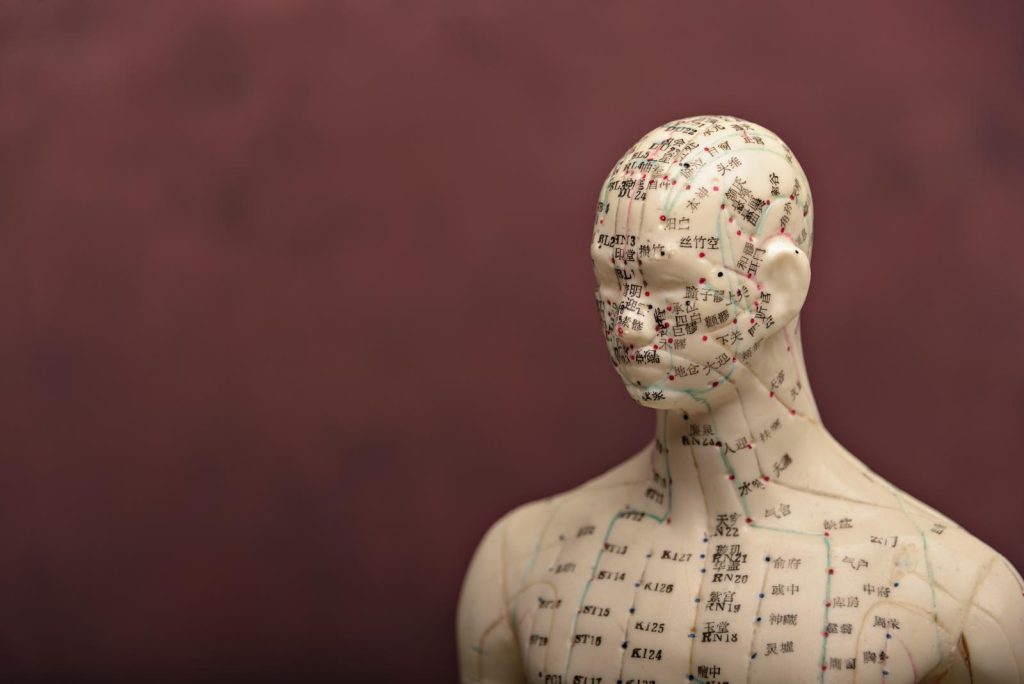 Traditional Chinese Medicine fertility acupuncture points on mannequin